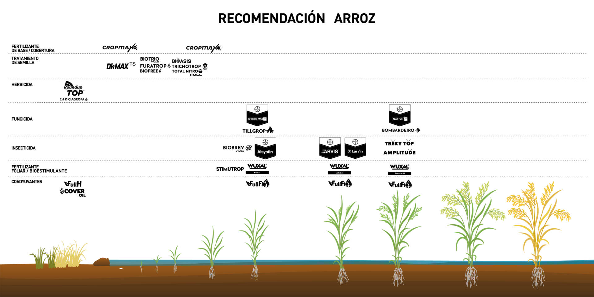 RECOMENDACION ARROZ