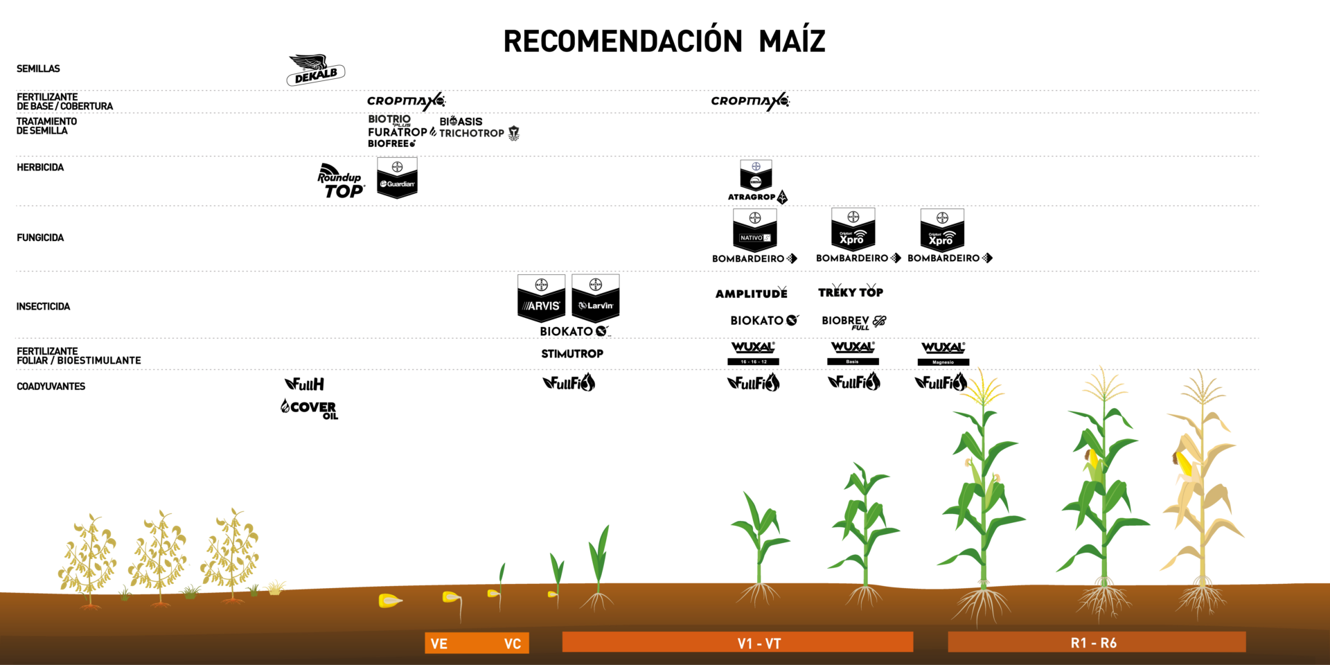 RECOMENDACION MAIZ