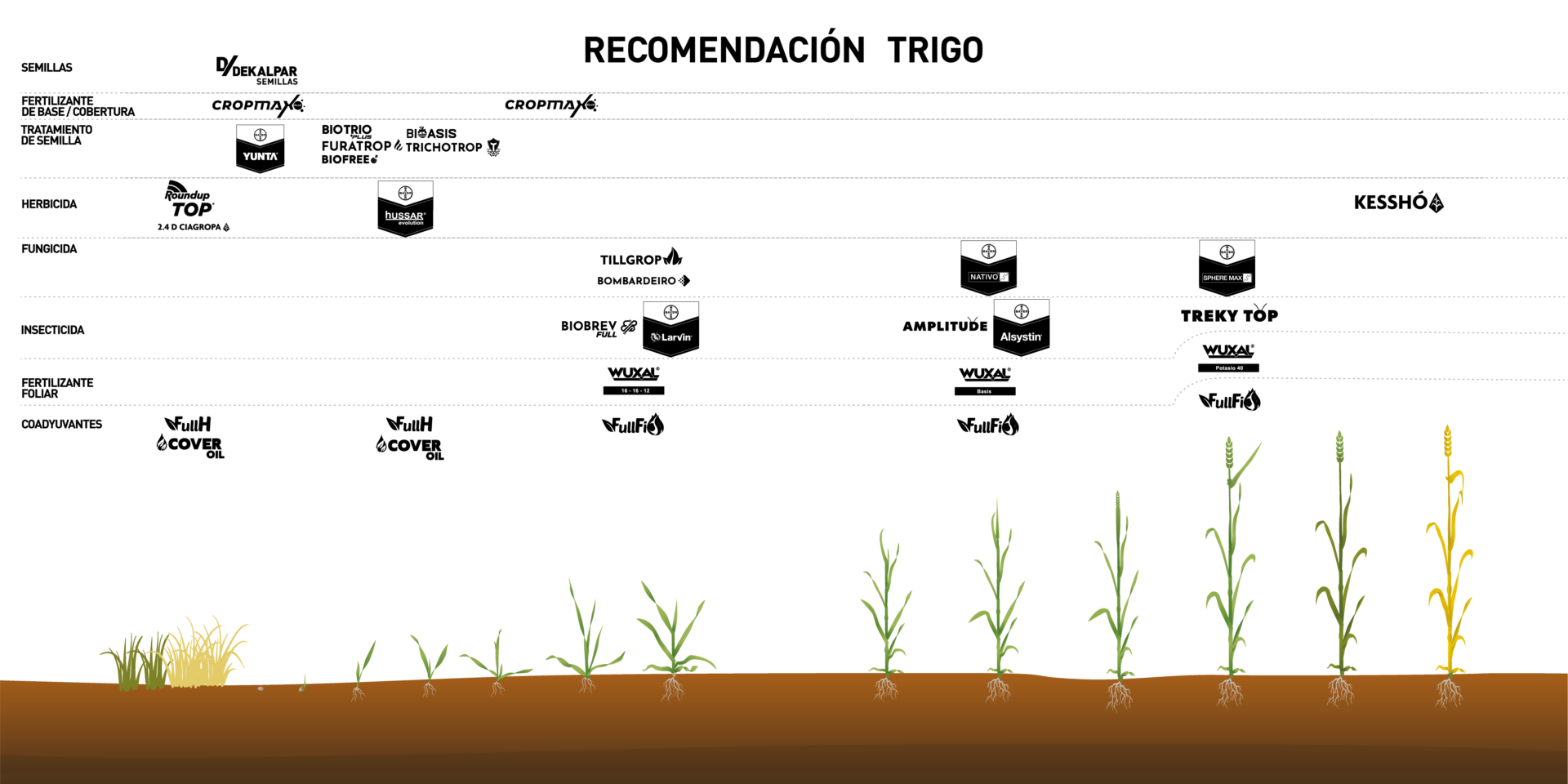 RECOMENDACION TRIGO