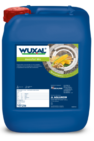 ASCOFOL Mn